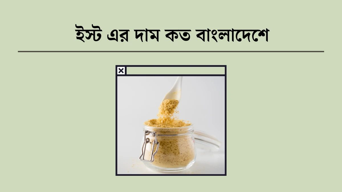 ইস্ট এর দাম কত
